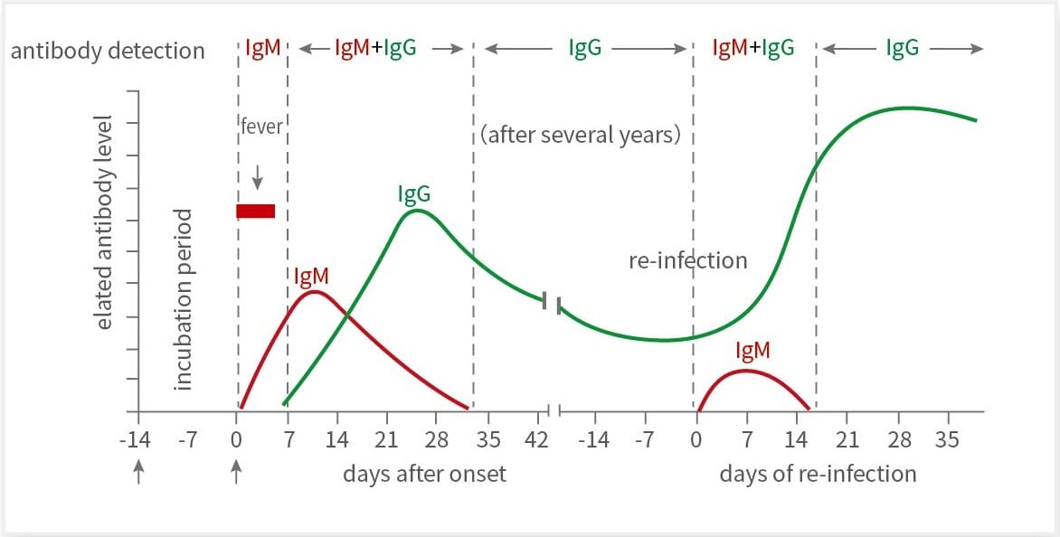 SARSCoV2 IgM + IgG Antibody Test Kit (A122151)
